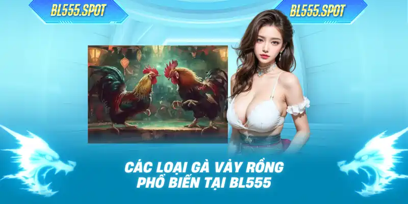 Các loại gà vảy rồng phổ biến tại BL555