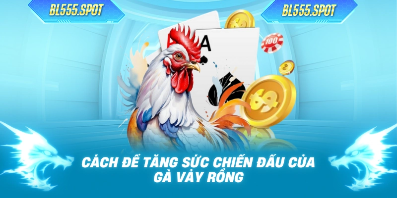 Cách để tăng sức chiến đấu của gà vảy rồng