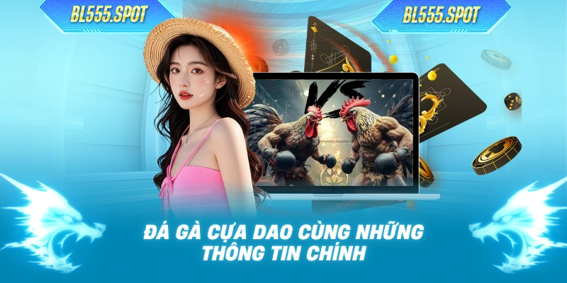 Đá gà cựa dao cùng những thông tin chính