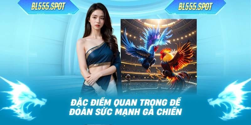 Đặc điểm quan trọng để đoán sức mạnh gà chiến