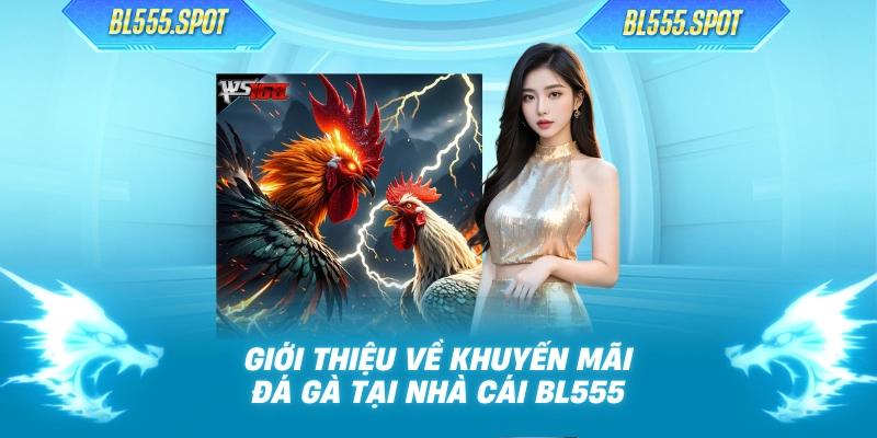 Giới thiệu về khuyến mãi đá gà tại nhà cái BL555
