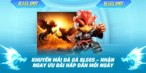 Khuyến Mãi Đá Gà BL555 - Nhận Ngay Ưu Đãi Hấp Dẫn Mỗi Ngày