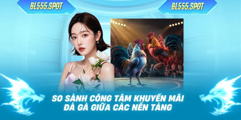 So sánh công tâm khuyến mãi đá gà giữa các nền tảng
