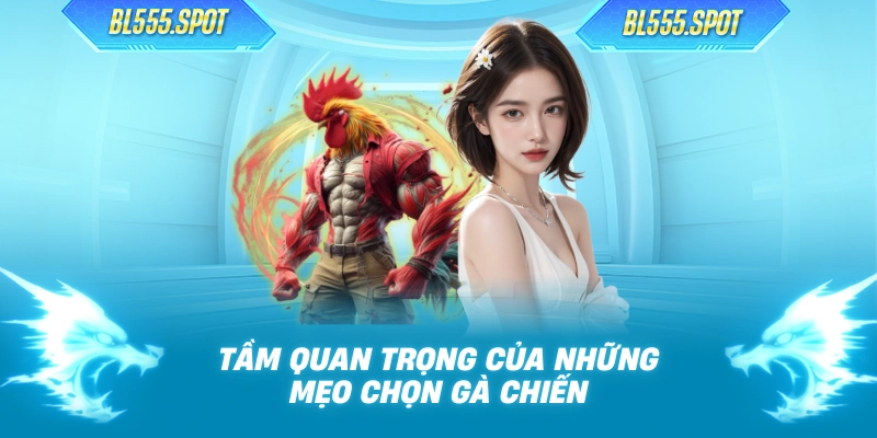 Tầm quan trọng của những mẹo chọn gà chiến